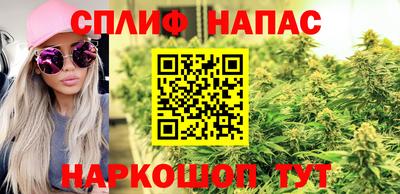 apvp Будённовск